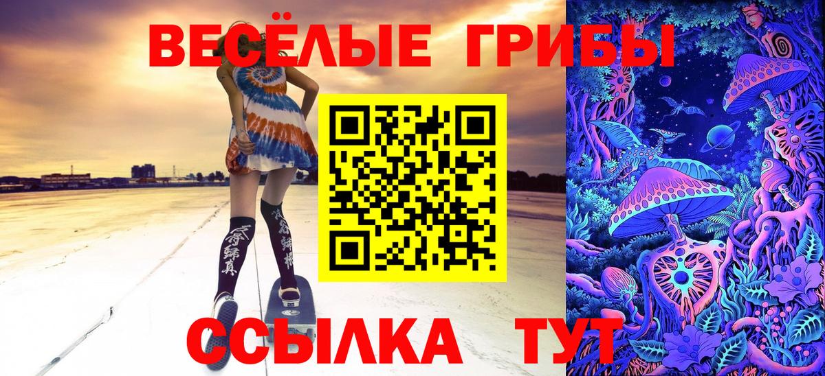 Алатырь  Галлюциногенные грибы Cubensis  Вход с VPN  Галлюциногенные грибы Psilocybe 