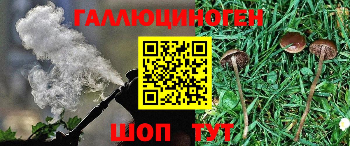 Галлюциногенные грибы MAGIC MUSHROOMS Алатырь